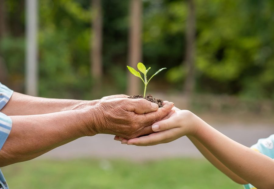 Medio ambiente